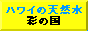 ハワイウォーター埼玉
