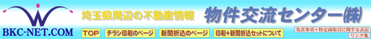 �J���[�y�[�p�[(�F�̂�����)�ł́A�P�F�`���V����A���m�g�[���`���V����̃y�[�W/�s�n�o/�`���V����̃y�[�W/�V���܍��̃y�[�W/�`���V����{�V���܍��Z�b�g�̃y�[�W