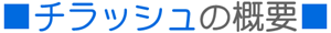 チラッシュの概要