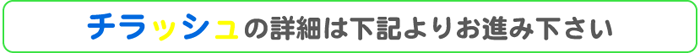 チラッシュ詳細